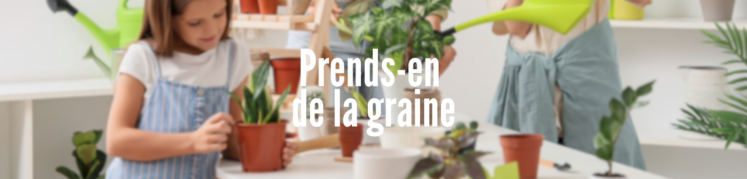 Prends-en de la graine